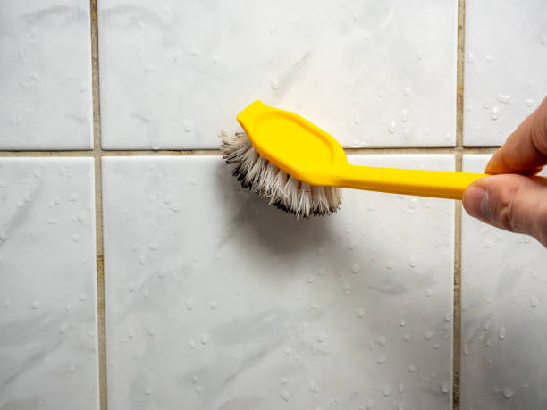 Best Mold Damage Repair  in Little Flock, AR